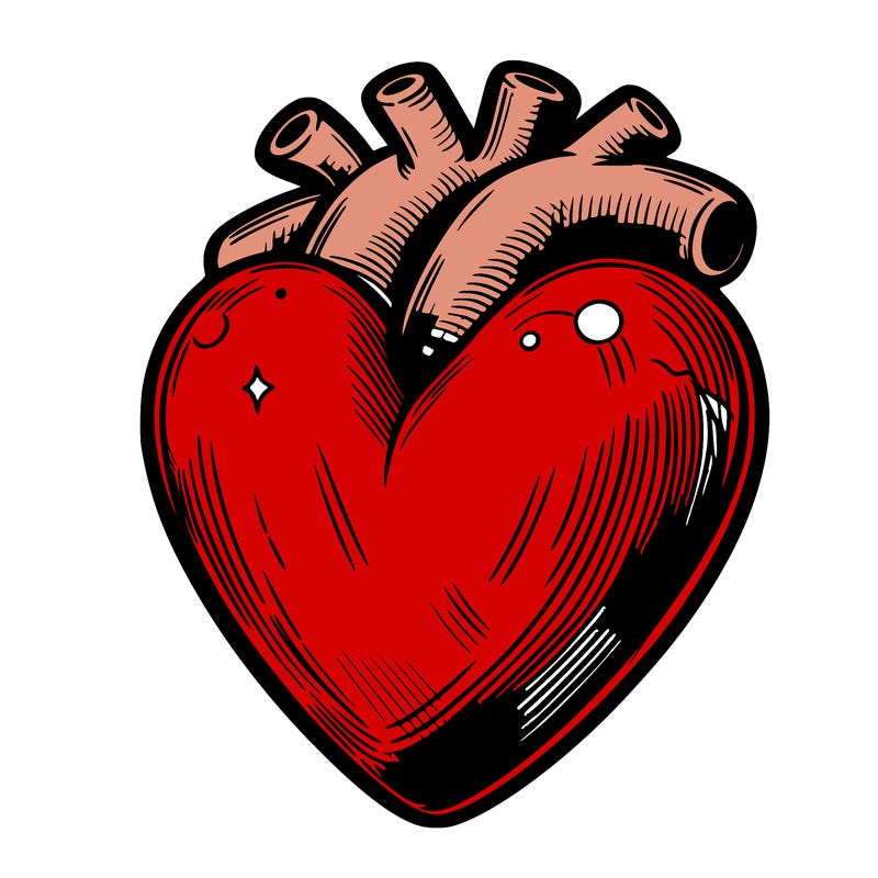 realistic heart