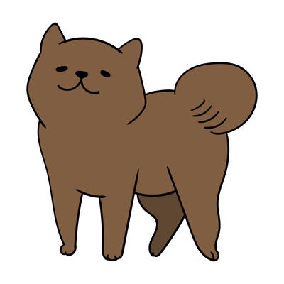 animals_29