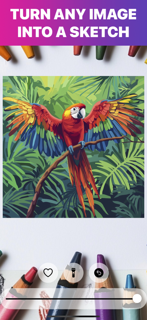 A colorful macaw parrot illustration on a smartphone screen within the AR Drawing app for tracing.