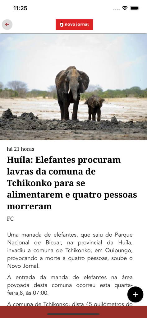 Un artículo de noticias digital de Novo Jornal en la aplicación Quiosque Nova Vaga sobre elefantes en Huila, Angola