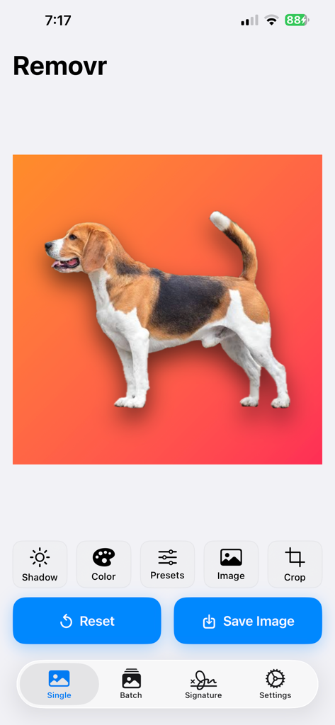 Remove Background - Removr - Interfaccia dell'app mobile che mostra un beagle con lo sfondo rimosso e sostituito da un gradiente arancione