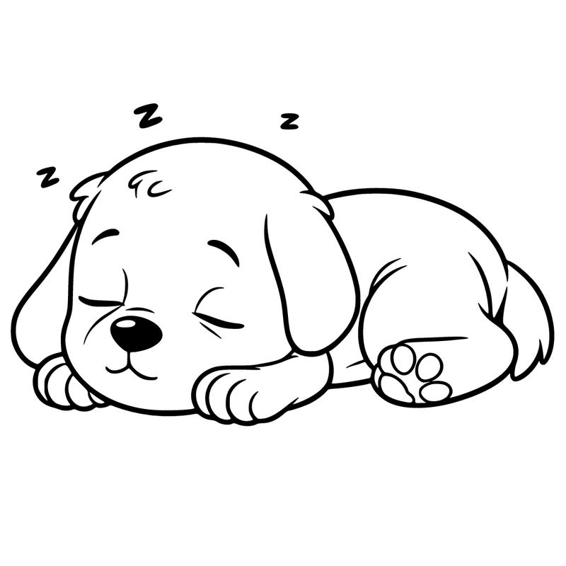 sleeping puppy