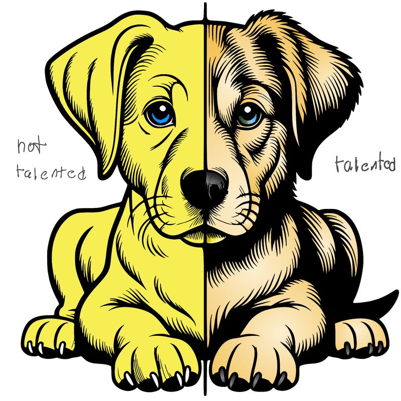 realistic dog split picture