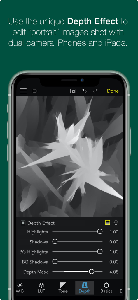 RAW Power - RAW Power app depth effect editing interface for portrait images