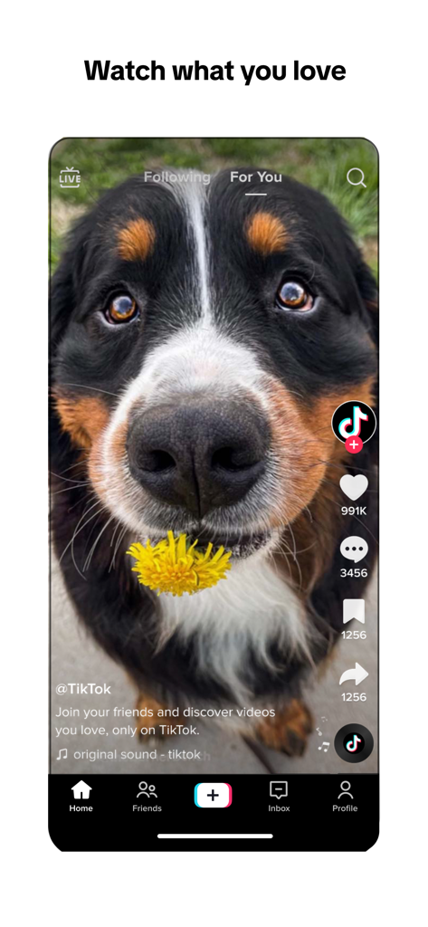 TikTok - Videos, Shop & LIVE - Interfaz de la aplicación móvil TikTok que muestra un vídeo de Para ti de un perro con una flor en la boca.
