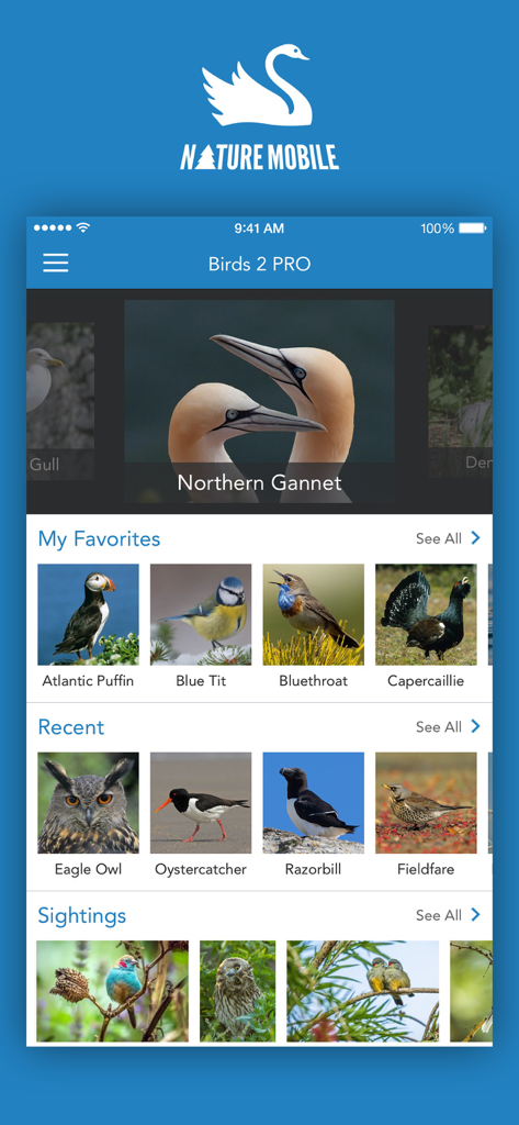 iKnow Birds 2 PRO - Europe - Dashboard of the iKnow Birds 2 PRO app showing featured species like Northern Gannet and a list of favorites including Atlantic Puffin and Blue Tit.