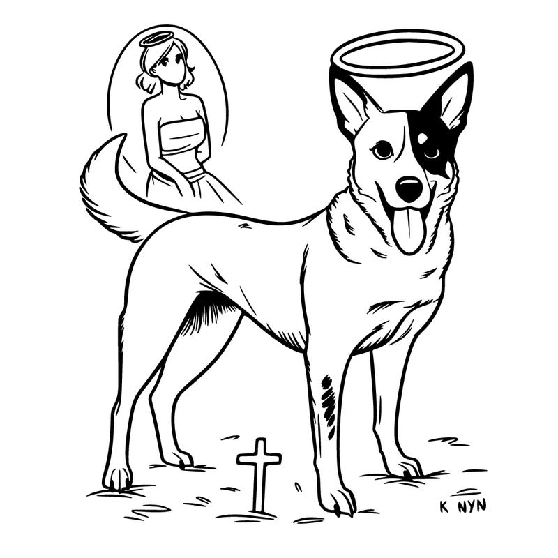 queensland heeler dog in heaven skinny female realistic