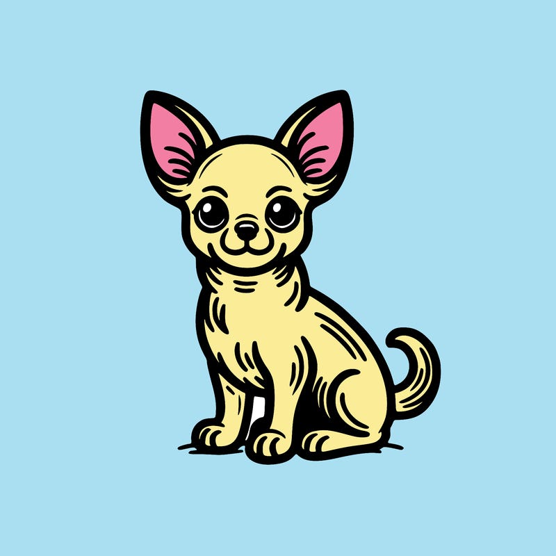 chihuahua dog