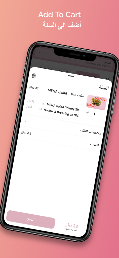 Plenty Sld's | بلينتي سلدز - Plenty Slds mobile app shopping cart showing a MENA Salad with price and checkout options