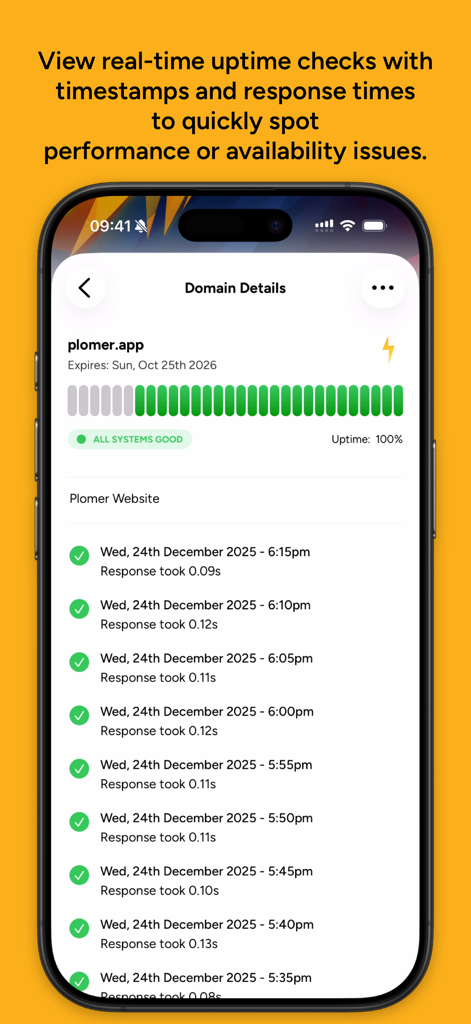Plomer: Website Monitoring - Pantalla de detalles de dominio de la aplicación Plomer que muestra el historial de tiempo de actividad del sitio web y los tiempos de respuesta.