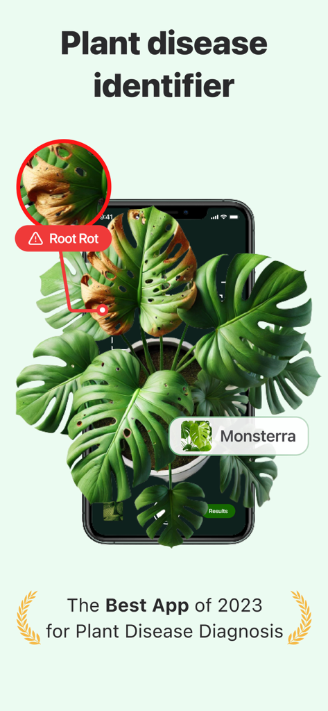 Plant Disease Identifier. - 植物病害識別アプリのインターフェースがモンステラの葉の根腐れを診断しています