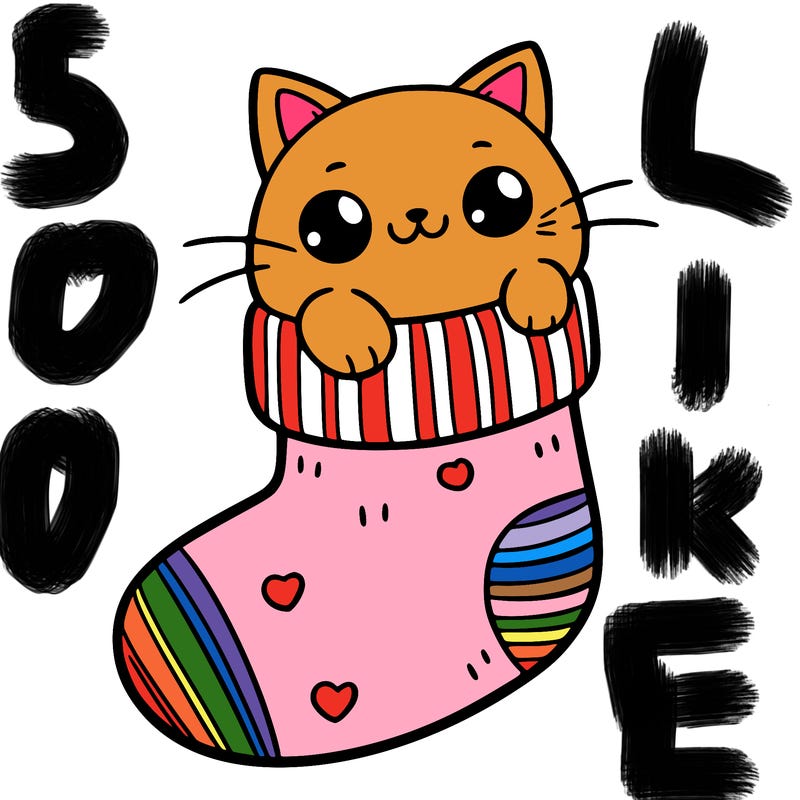 cute cat in a sock
