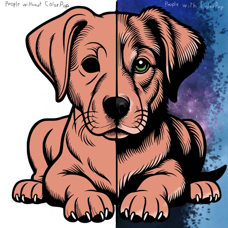 realistic dog split picture