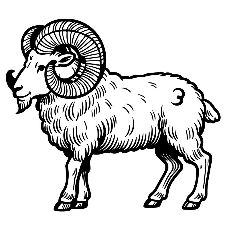 aries ram