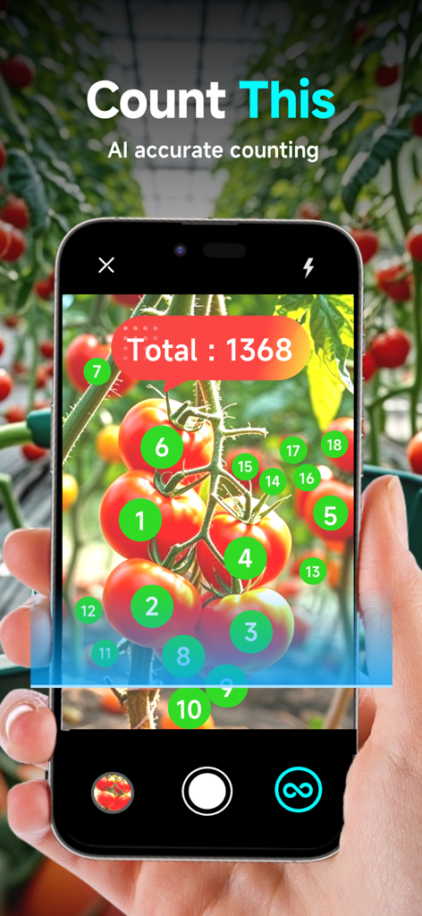 Smartphone screen showing the GO Count Object app identifying and counting tomatoes on a vine