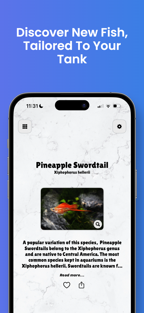 Fishi: Aquarium Manager - Smartphone screen displaying the Fishi app with a detailed species profile of a Pineapple Swordtail fish.