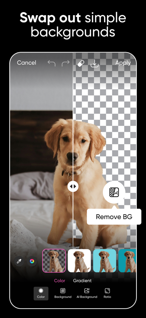 Screenshot of Picsart app showing the background removal feature on a photo of a golden retriever