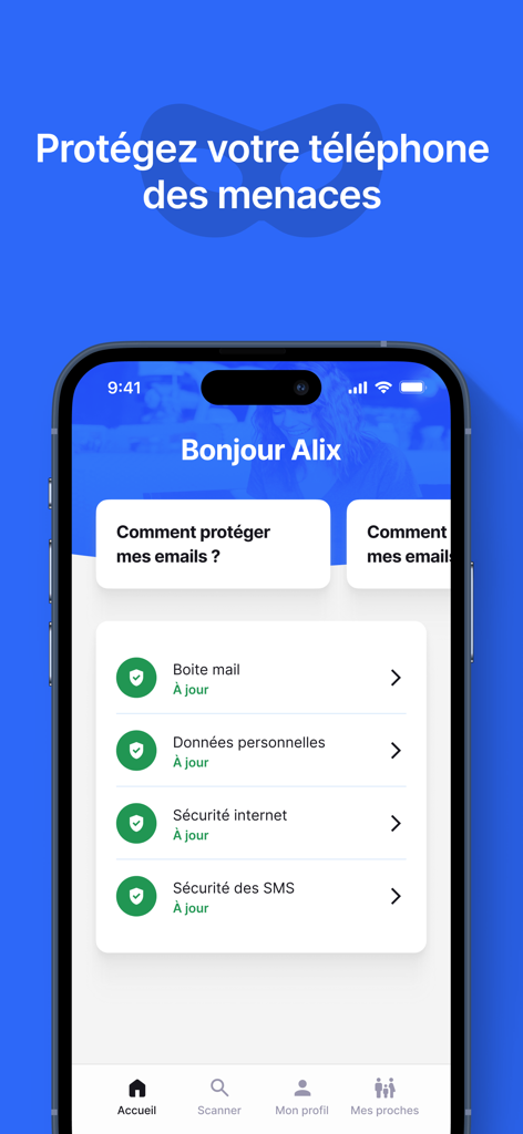 FranceVerif - Mobile interface of FranceVerif showing up to date security status for email and personal data