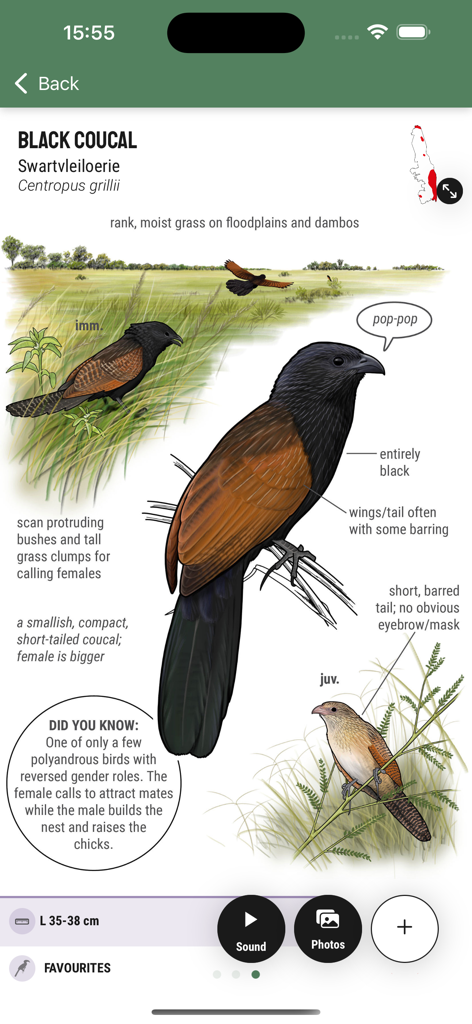 Kruger Birding by Firefinch - 