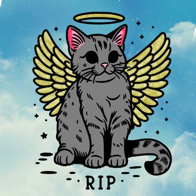rip cat realistic cat with angel wings