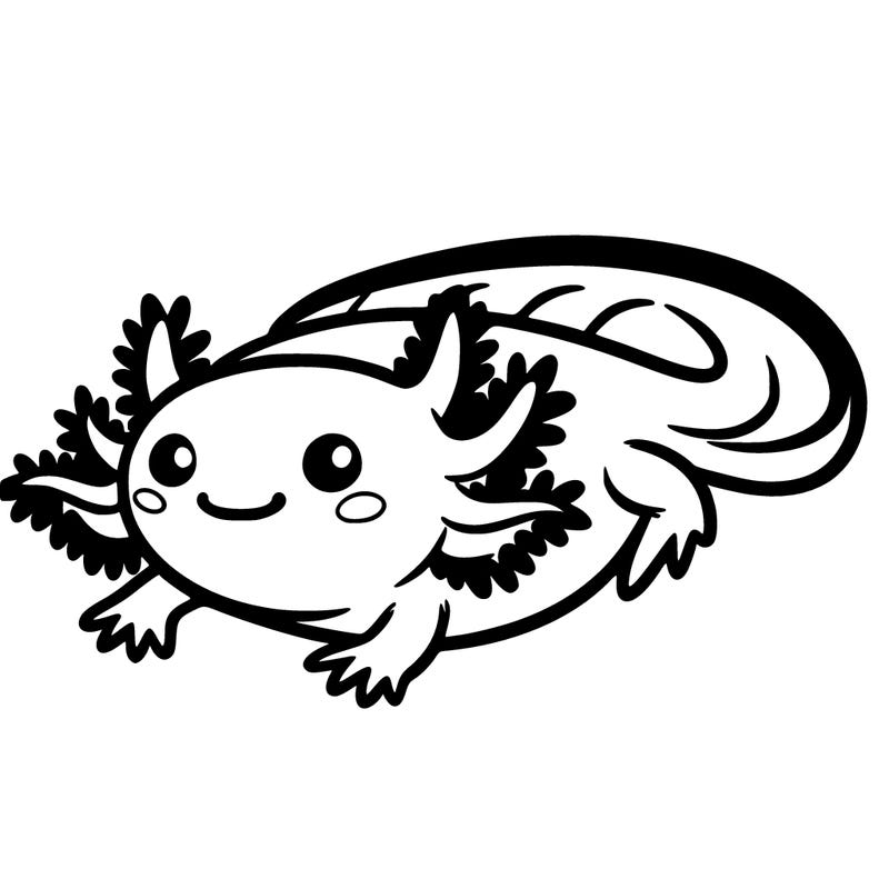 axolotl
