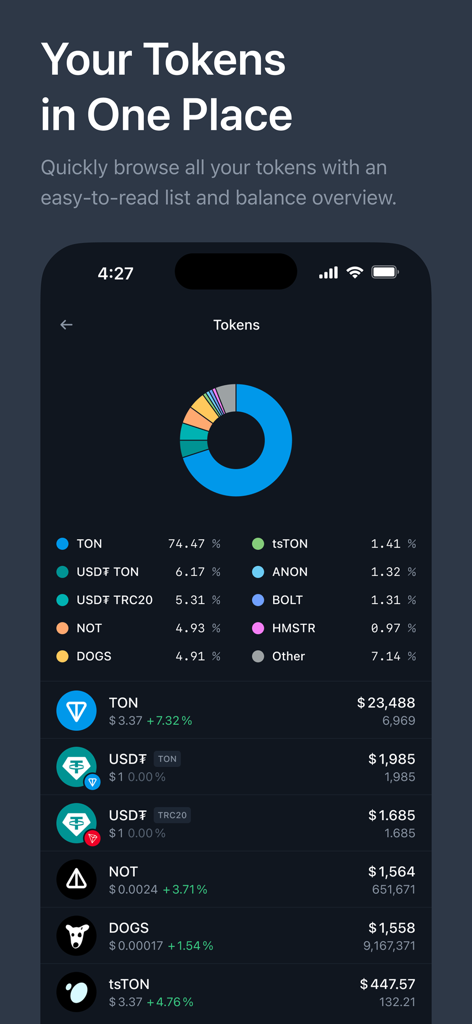 Tonkeeper Pro-Dashboard mit Kryptotoken-Verteilung und Vermögensguthaben