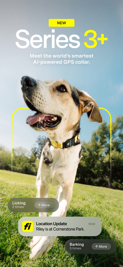 Cane felice in un parco che indossa un collare intelligente GPS Fi Series 3+ con allerte di attività e posizione