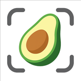 AI Calorie Tracker by CalSnap