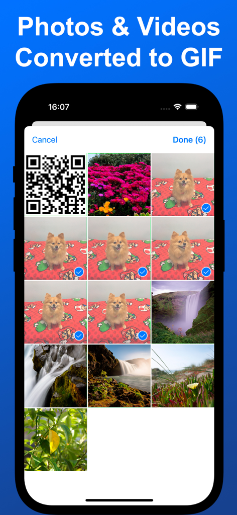 GIF 메이커 앱 인터페이스 스크린샷, iPhone에서 애니메이션 GIF를 만들기 위해 선택 중인 사진 갤러리를 보여줍니다.