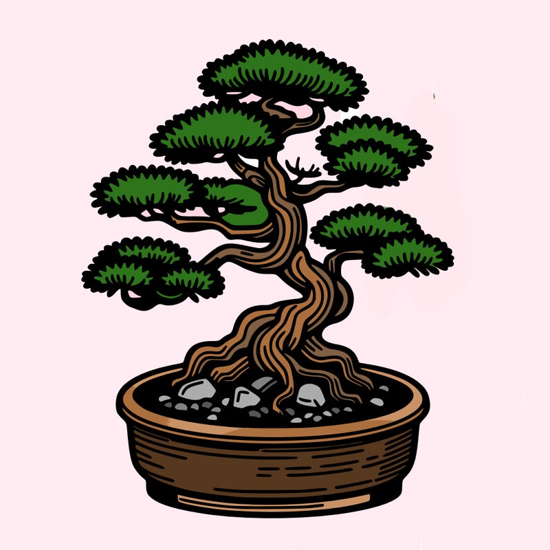 japan bonsai