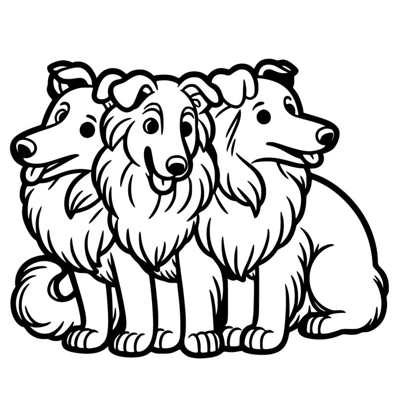 three headed collie