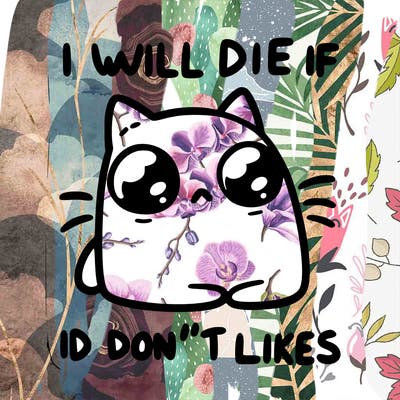 a cat that will die if we don’t get 10 likes