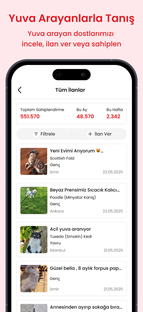 Petlebi - Schermata dell'app Petlebi che mostra annunci di adozione di animali domestici per gatti, cani e uccelli