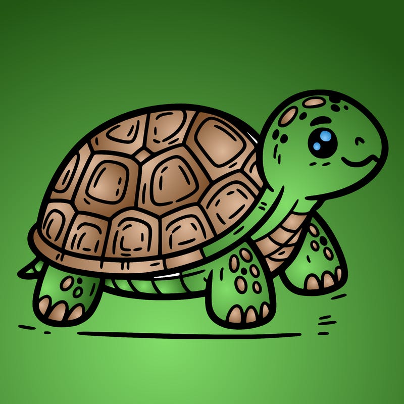 turtle