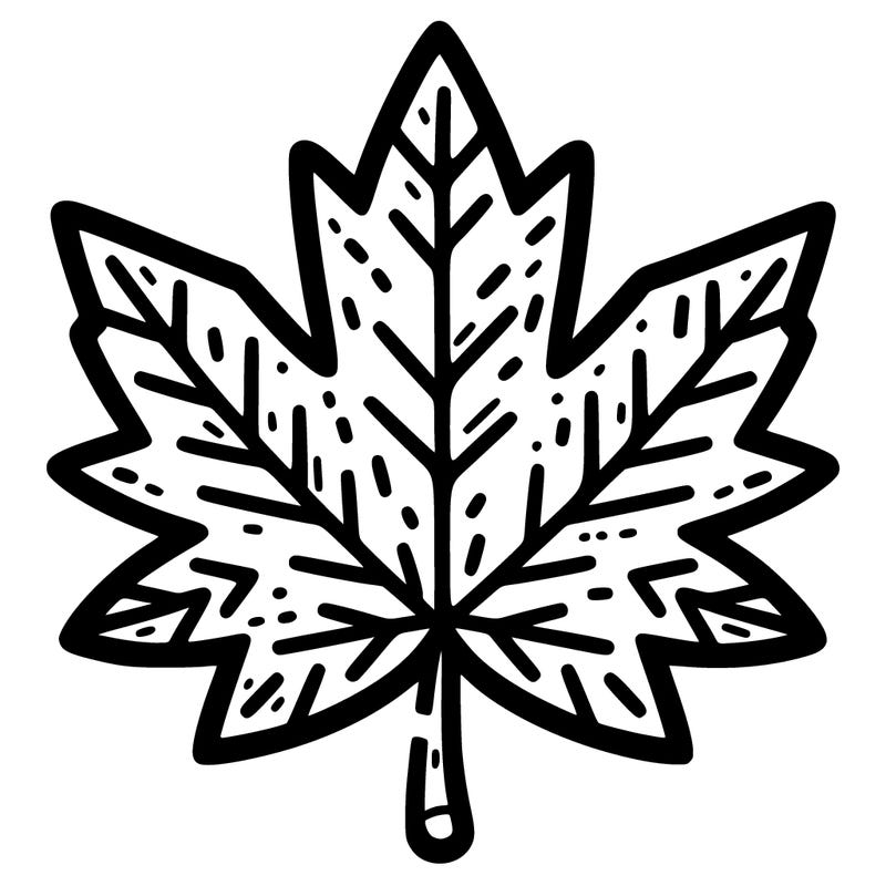 maple leaf