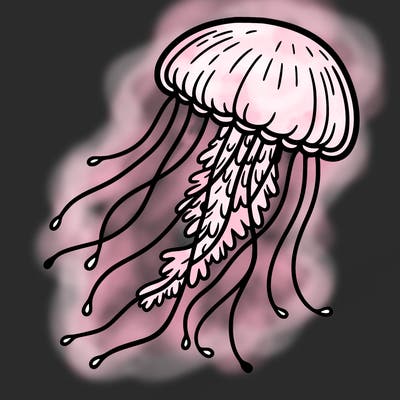 jellyfish