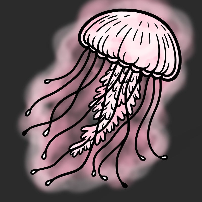 jellyfish