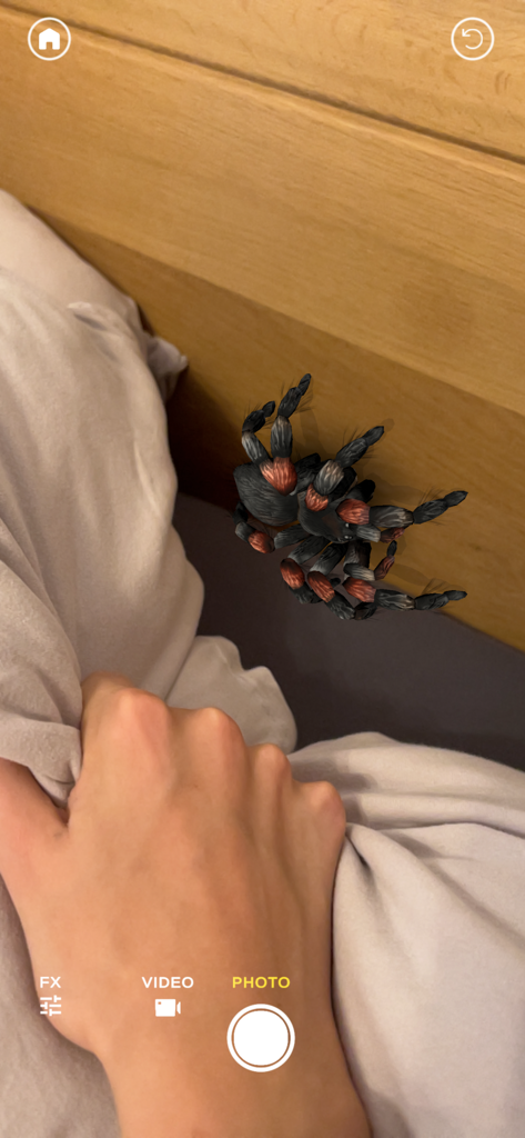 Eine realistische 3D-Spinne, die durch eine AR-Kamera-Oberfläche an einer Holzwand neben einem Bett erscheint