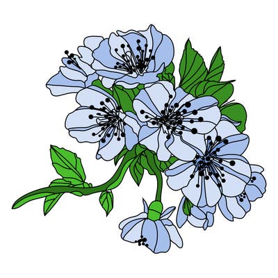 flowers_03