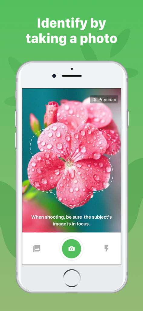 Plant Identificationアプリのスマートフォンカメラインターフェースが、ピンクの花を識別しています。