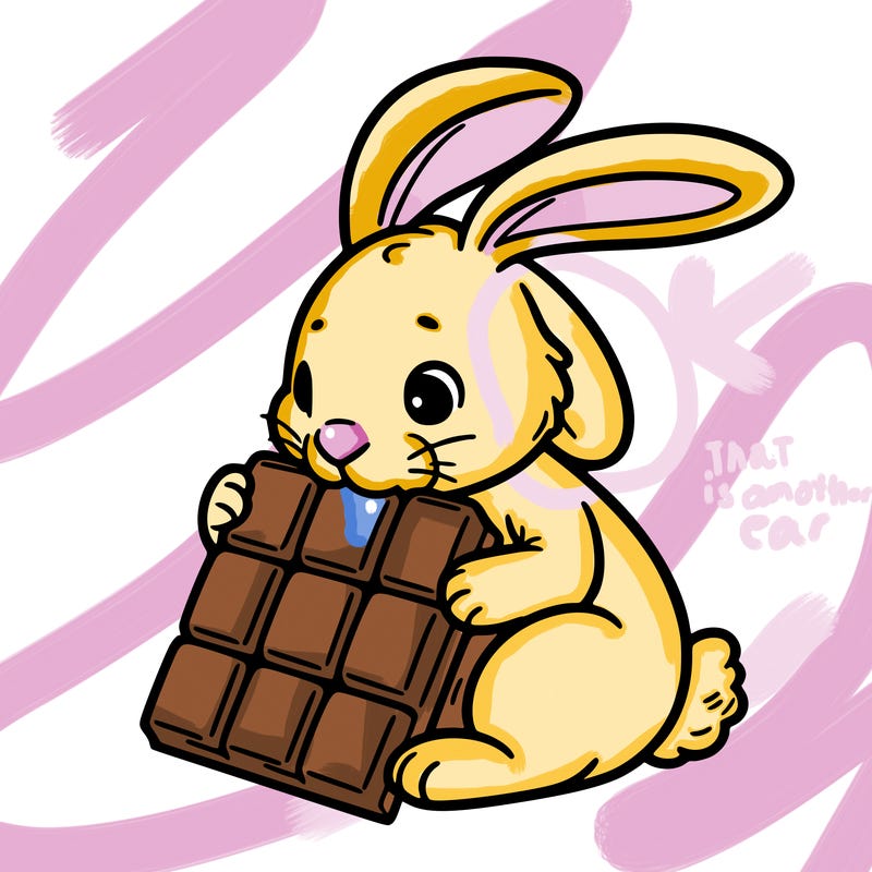 rabbit eating chocolate