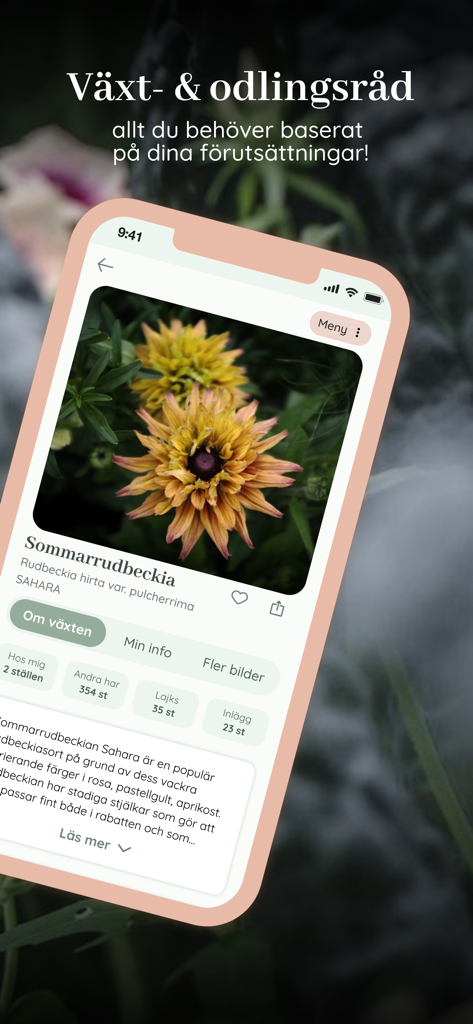Ein Pflanzenprofil-Bildschirm in der Oh!Garden-App mit einer Sommarrudbeckia-Blume mit Kulturanleitung und Community-Statistiken.