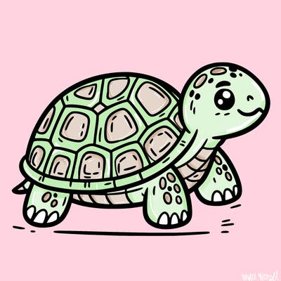 turtle