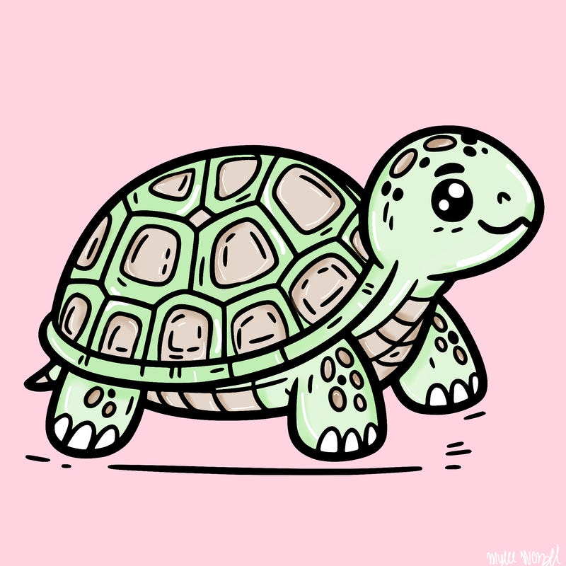 turtle