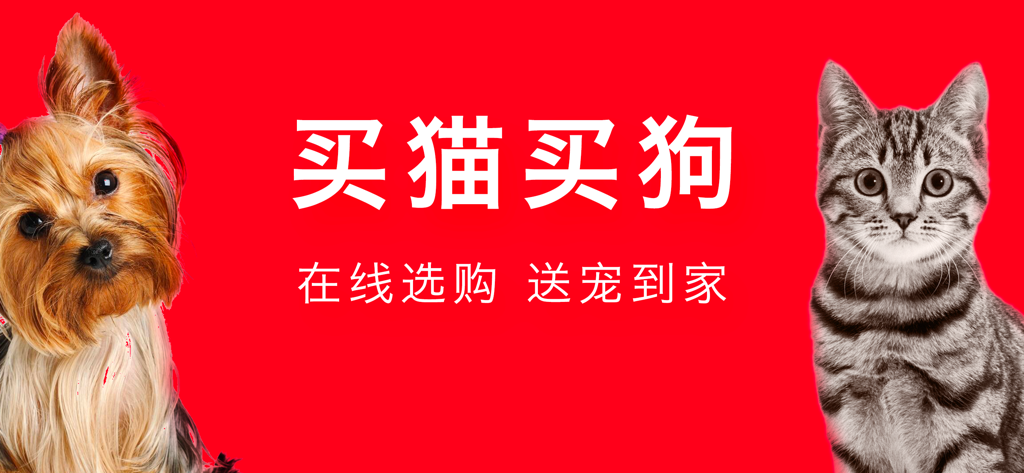 A promotional banner for the Pet Treasure app featuring a Yorkshire Terrier and a tabby cat on a red background with Chinese text.