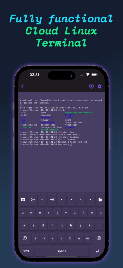 iPhone displaying the Termux app terminal interface with a custom command keyboard and active Linux session