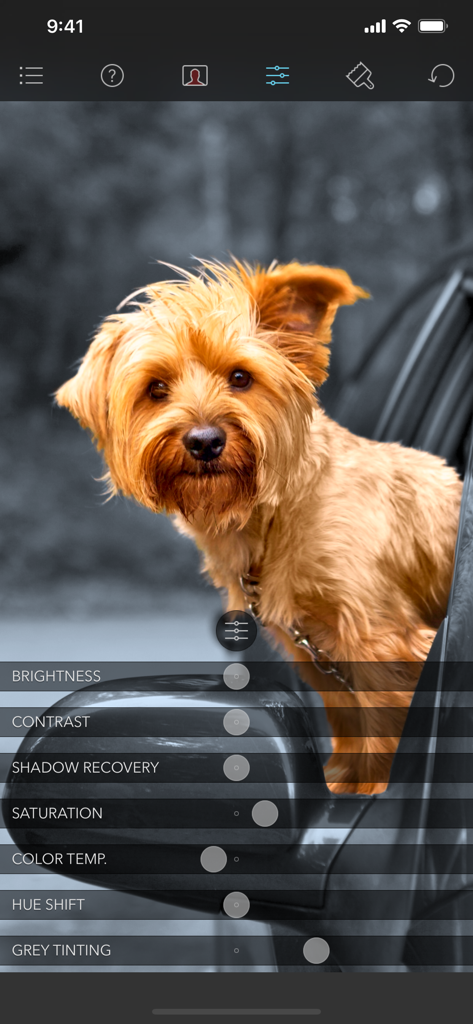 Edición de color selectivo de un perro en la interfaz de la aplicación Color Splash mostrando controles deslizantes de ajuste.