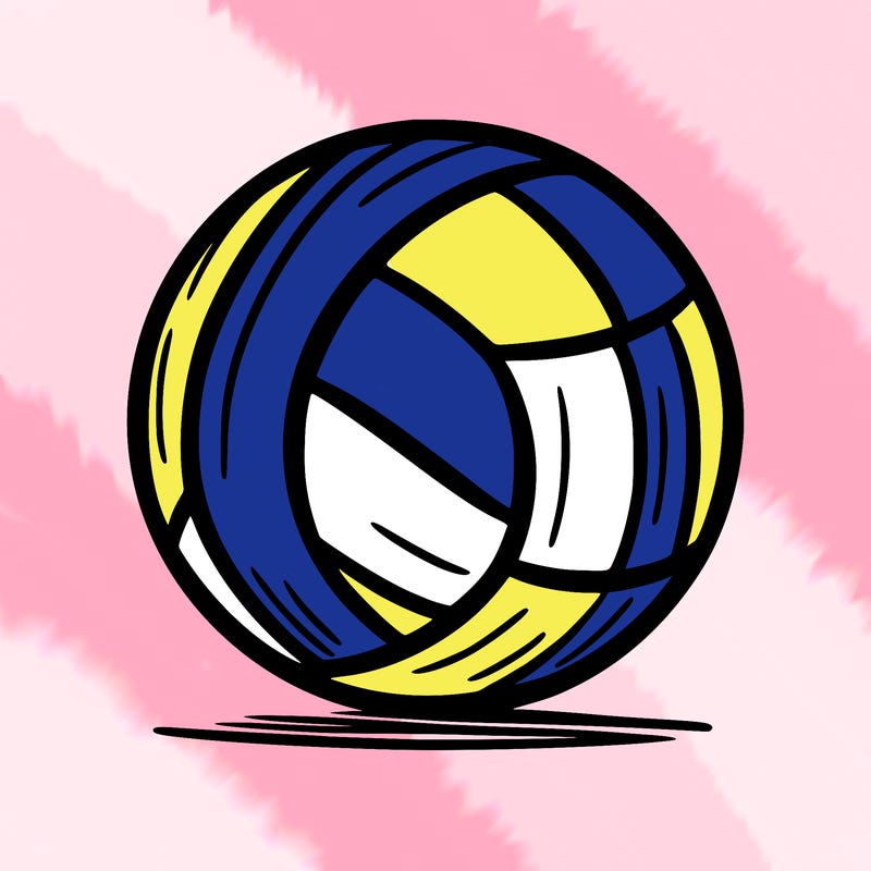 volleyball