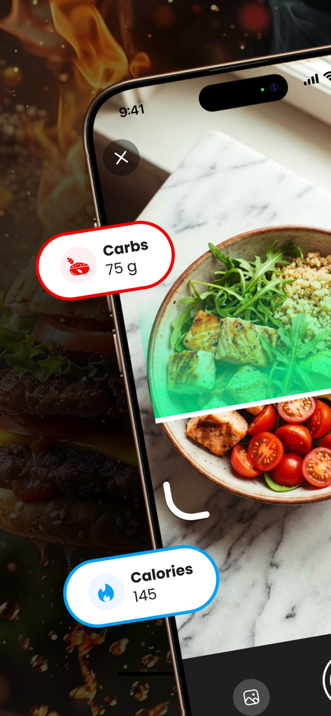 Calorie Counter App - Caloryx - Caloryx mobile app interface displaying calorie and carb counts for a healthy salmon and salad meal