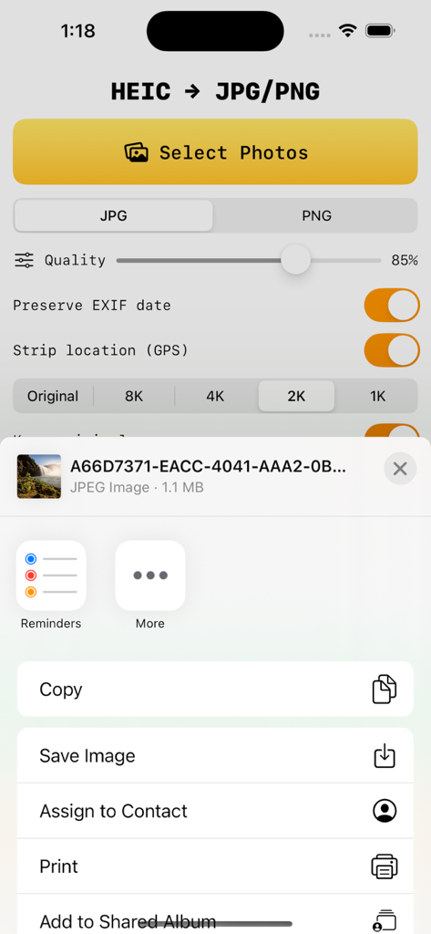 HEIC to JPEG/PNG - Interface of the HEIC to JPEG PNG app showing conversion settings and the iOS share sheet for easy file sharing.